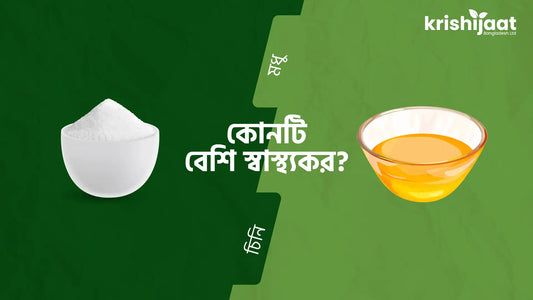 মধু নাকি চিনি: কোনটি বেশি স্বাস্থ্যকর?