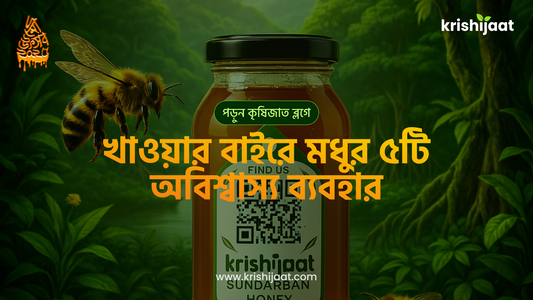 খাওয়ার বাইরে মধুর ৫টি অবিশ্বাস্য ব্যবহার!