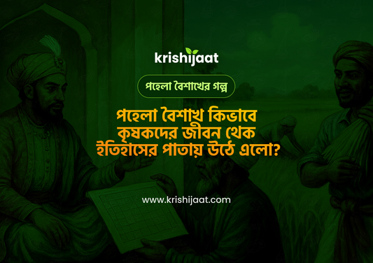 পহেলা বৈশাখ কিভাবে কৃষকদের জীবন থেকে ইতিহাসের পাতায় উঠে এলো?