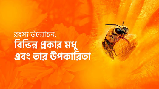 রহস্য উন্মোচন: বিভিন্ন প্রকার মধু এবং তার উপকারিতা