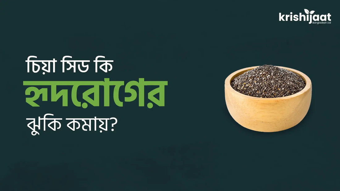 চিয়া সিড কি হৃদরোগের ঝুঁকি কমায়?