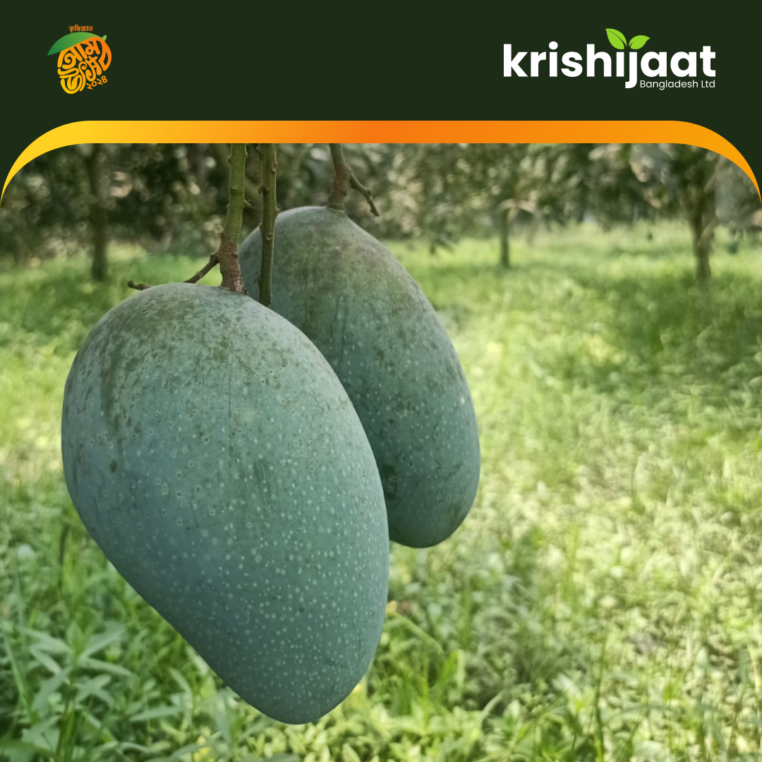 Amropali-আম্রপালি