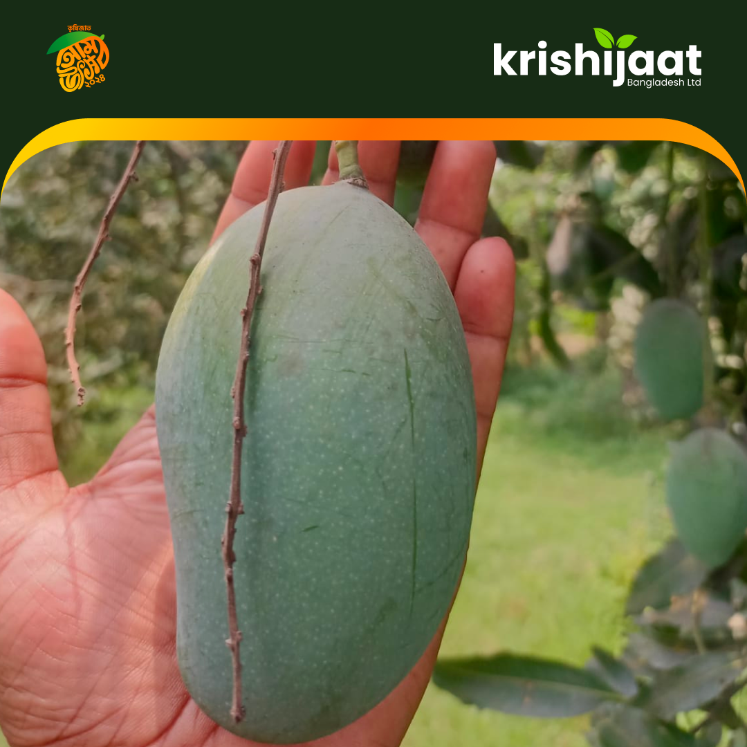 Amropali-আম্রপালি