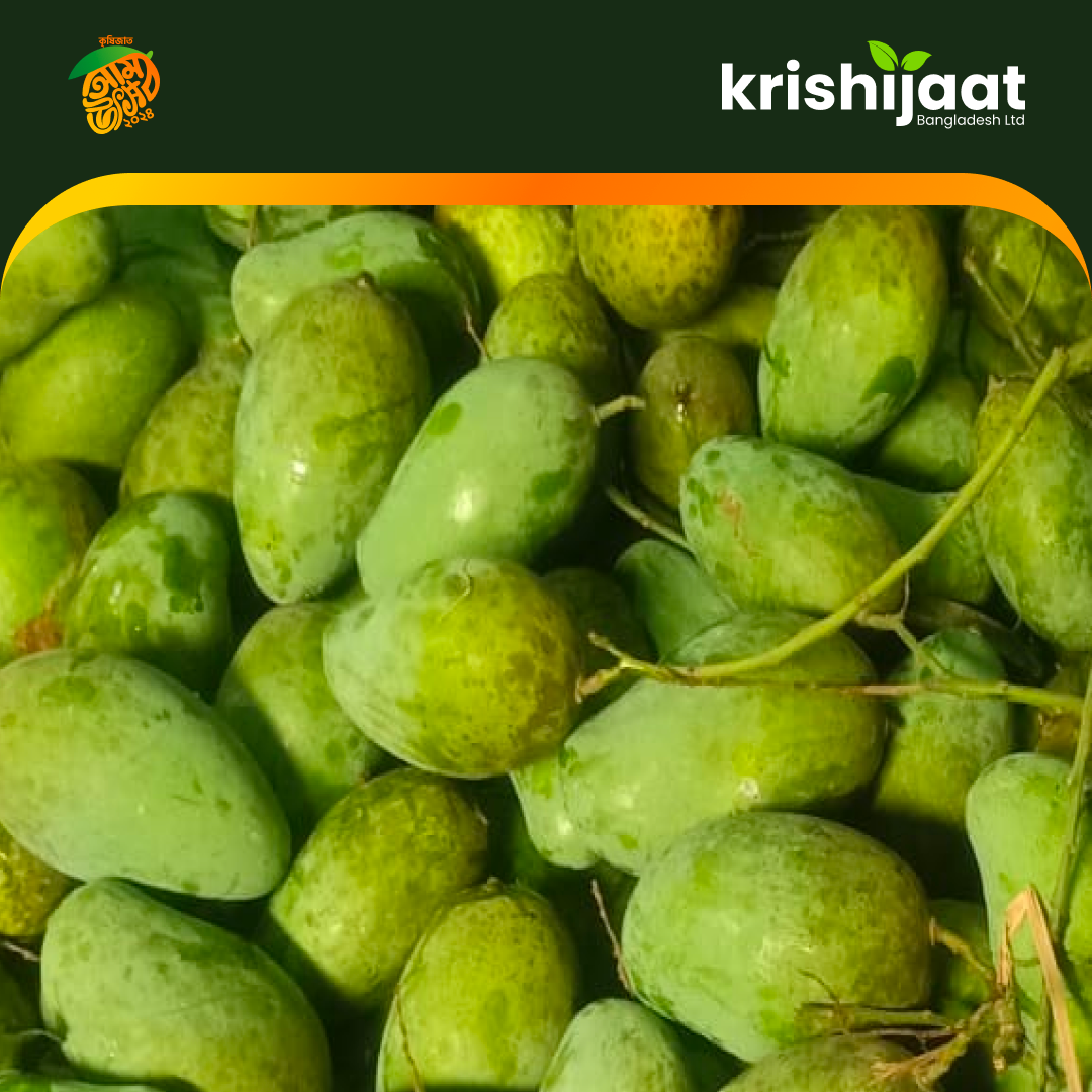 Amropali-আম্রপালি