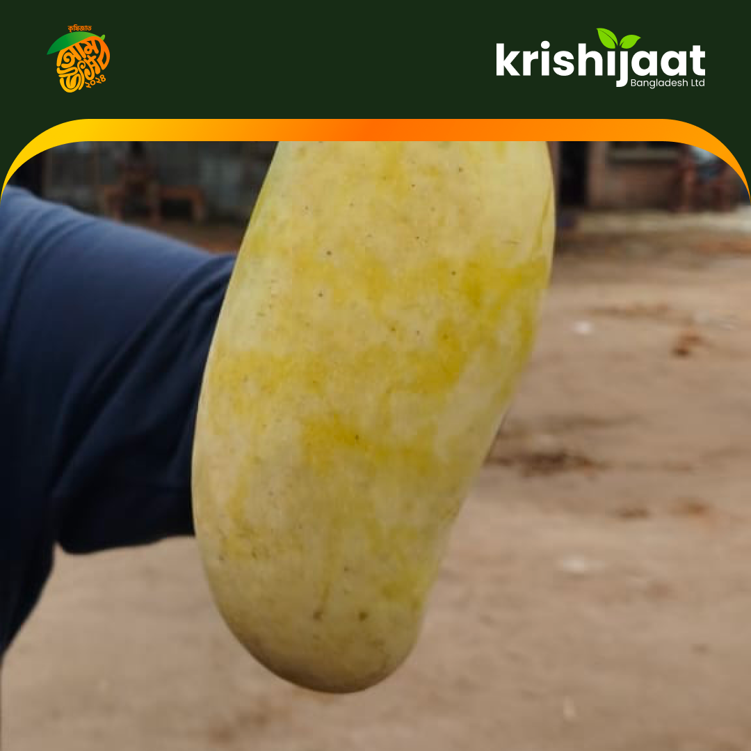 Banana Mango-ব্যানানা ম্যাংগো