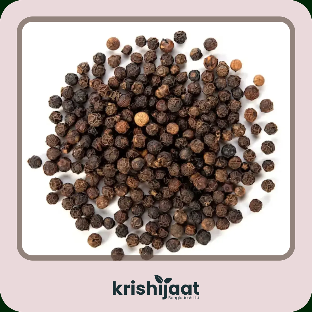 Black Pepper- (গোল মরিচ)