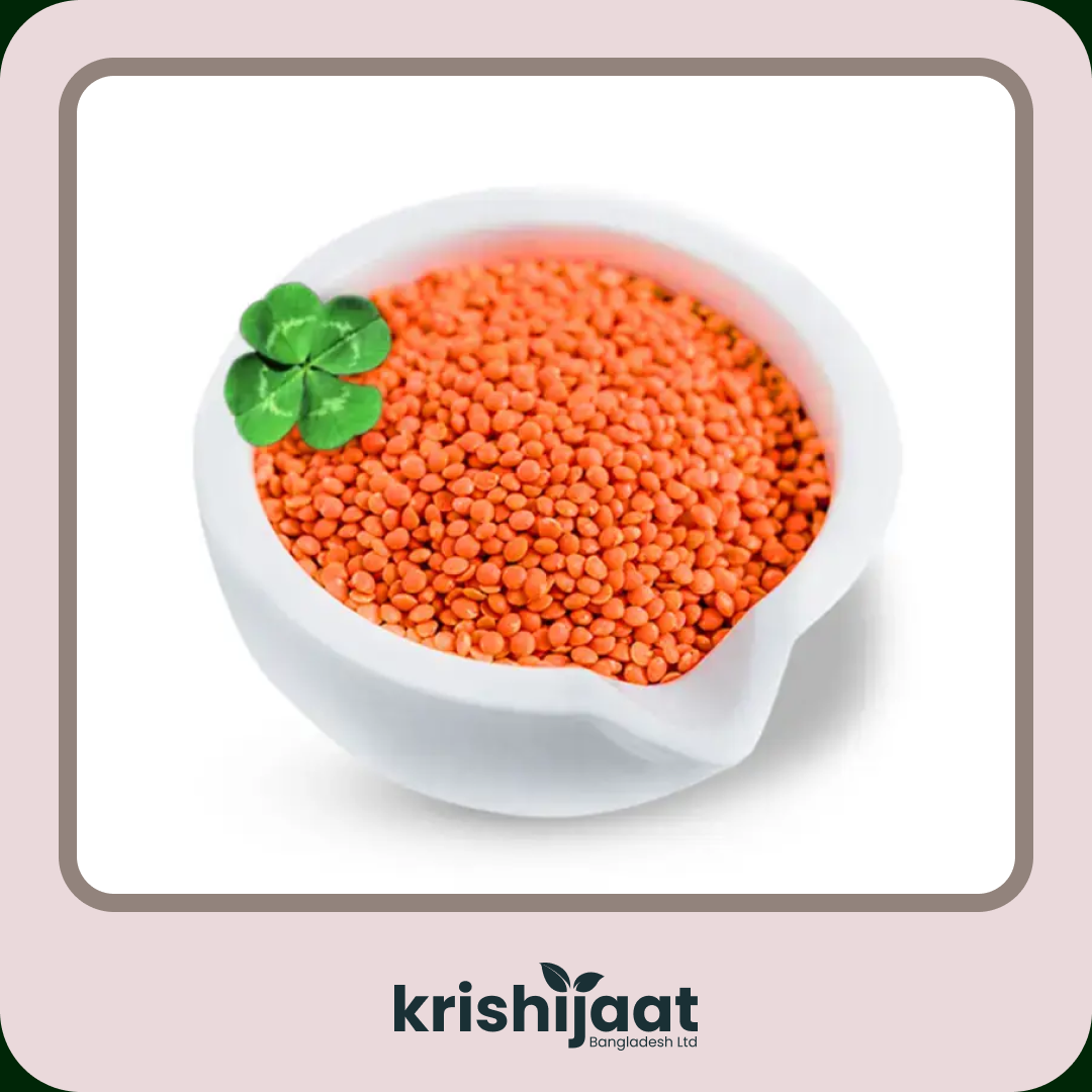 Deshi Mosur Dal- (দেশি মশুর ডাল)