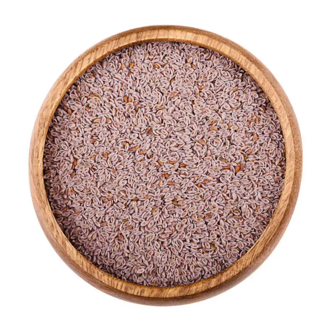 Isabgol (Plantago ovata) - ইসবগুল