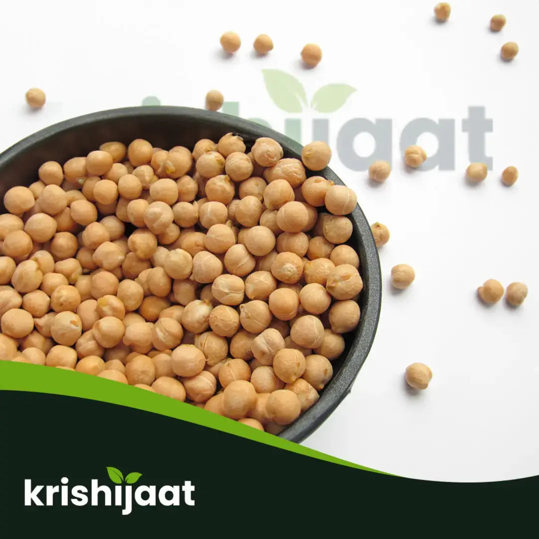 chickpeas-(ছোলা)