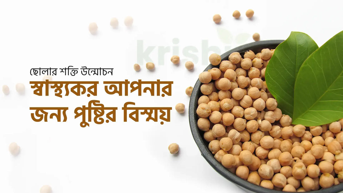 ছোলার শক্তি উন্মোচন:আপনার জন্য স্বাস্থ্যকর পুষ্টির বিস্ময়