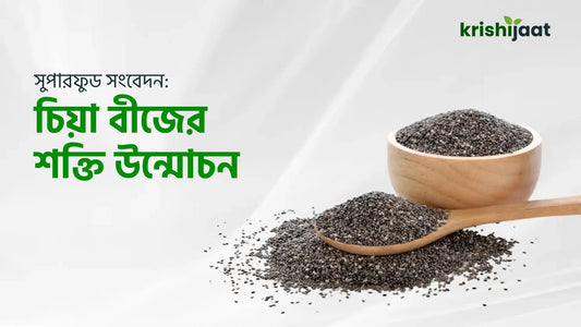 সুপারফুড সংবেদন: চিয়া বীজের শক্তি উন্মোচন