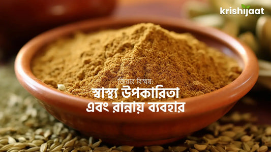 জিরার বিস্ময়: স্বাস্থ্য উপকারিতা এবং রান্নায় ব্যবহার