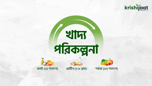 খাদ্য পরিকল্পনা (Diet Plan)