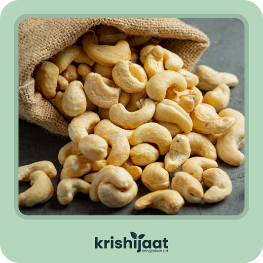 Cashew Nut - কাজু বাদাম (কাঁচা)