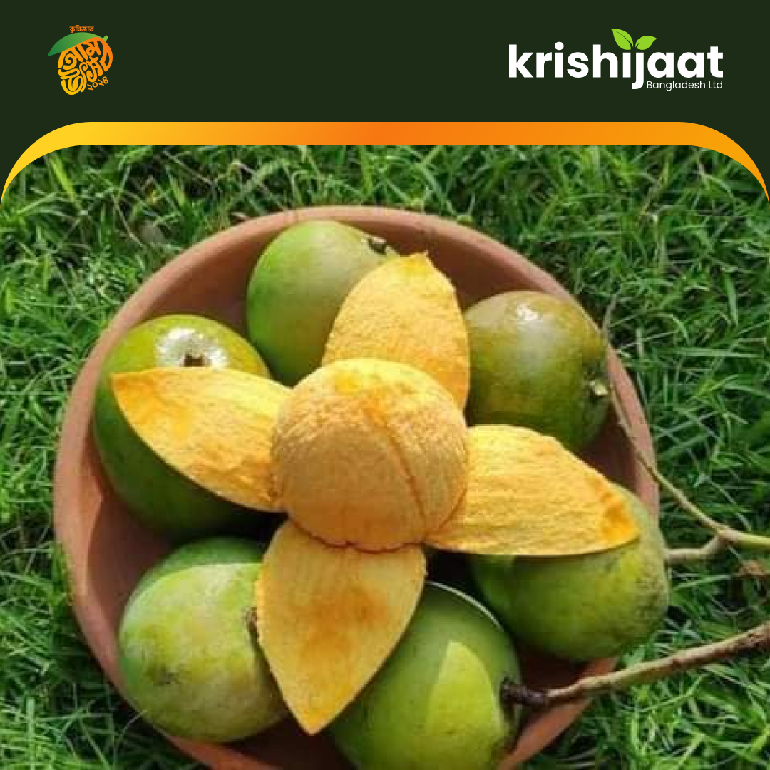 Harivanga-হাড়িভাঙ্গা