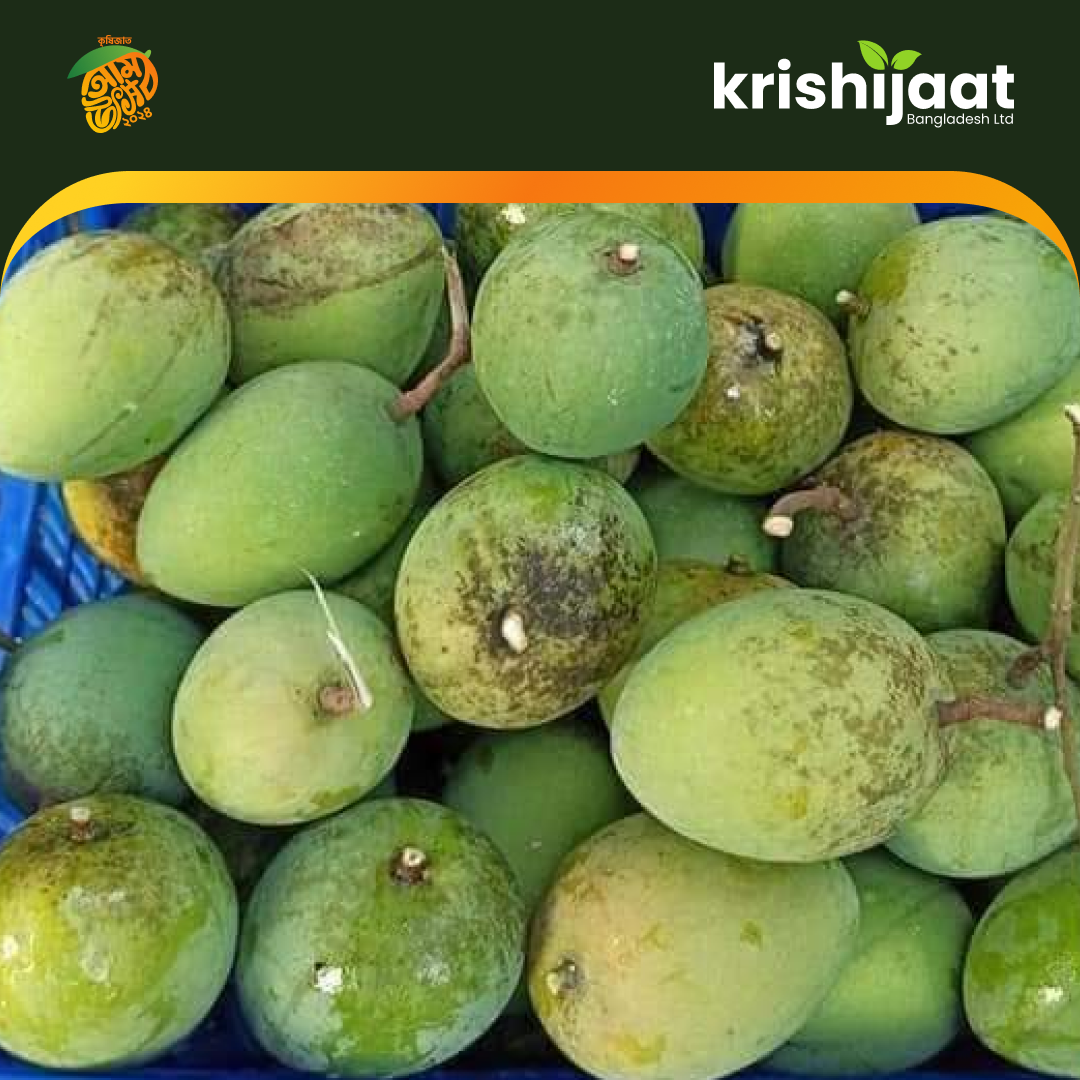 Harivanga-হাড়িভাঙ্গা